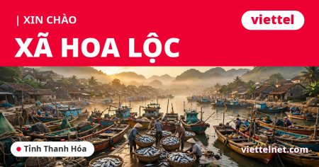 Tư vấn lắp mạng Viettel xã Hoa Lộc cho gia đình và cơ sở kinh doanh hải sản